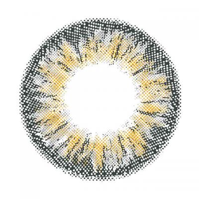 メガグレー レンズ画像