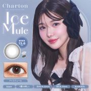 シャルトンワンデー アイスミュール きぬ