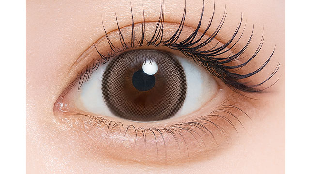 シャルトンワンデー ミルクチーズケーキ(2)