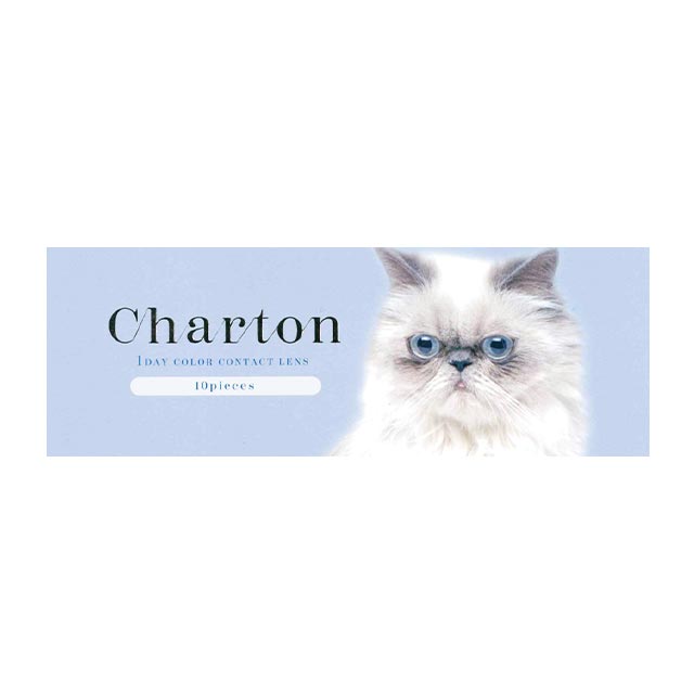 シャルトンワンデー ミルクチーズケーキ(4)