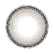 シャルトンワンデー ラムネフロート