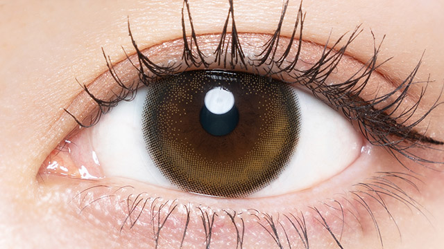 チューズミー トーリック(乱視用) グロスブラウン【CYL:-1.25】の装用画像