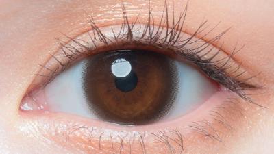 ベイビーブラウン(NEW) 装用画像