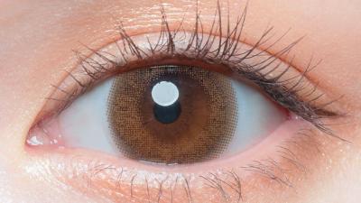 シフォンブラウン(NEW) 装用画像