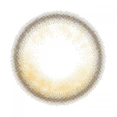 グロスブラウン レンズ画像