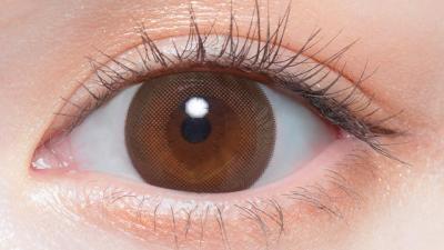 モイストブラウン 装用画像