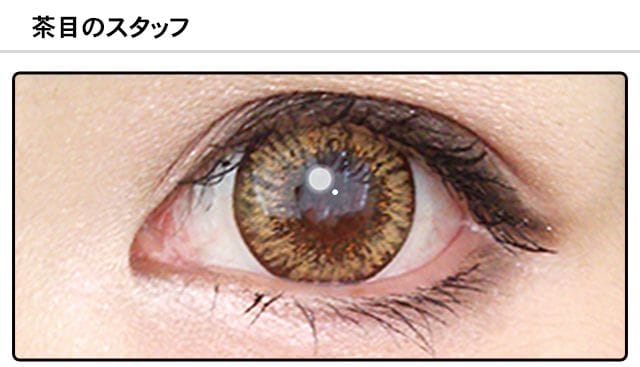 スタッフ0の装着画像