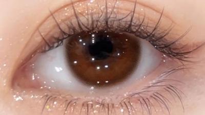 チョコレートコスモス 装用画像