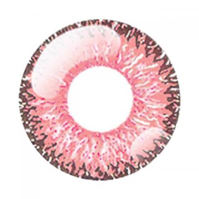 紅梅ピンク レンズ画像