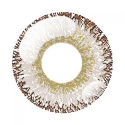 箔絵プラチナ レンズ画像