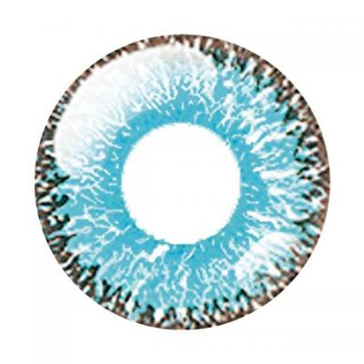 誠ブルー レンズ画像