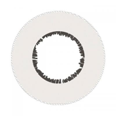 閃刃ホワイト レンズ画像