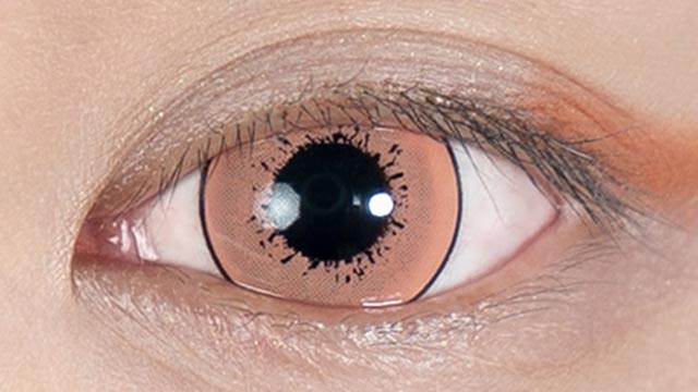 ドルチェストロングワンデー オレンジアース