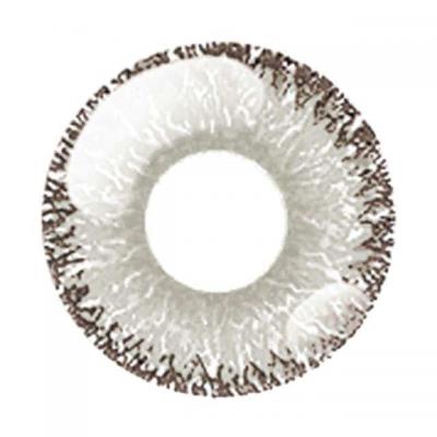 天狼グレー レンズ画像