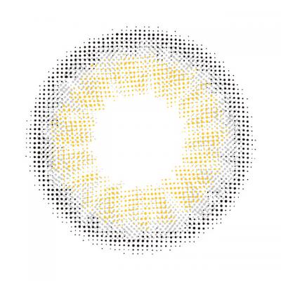 アートグレー レンズ画像