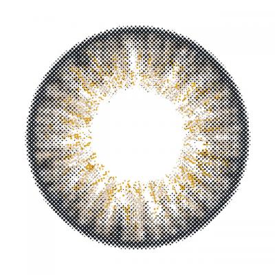 ダスクベージュ レンズ画像