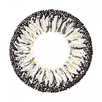 スパイシーグレー レンズ画像