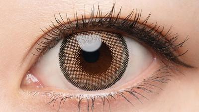 サニーヘーゼル 装用画像