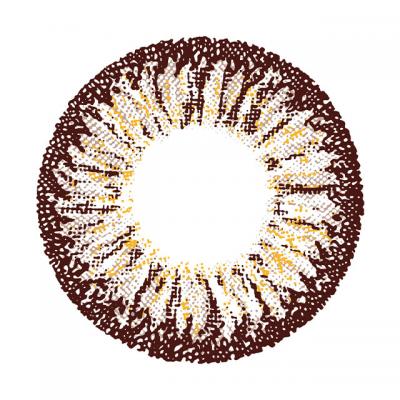 スルーベージュ レンズ画像