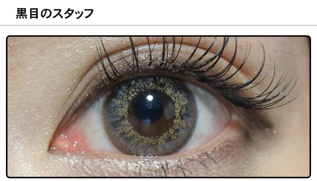 スタッフ0の装着画像