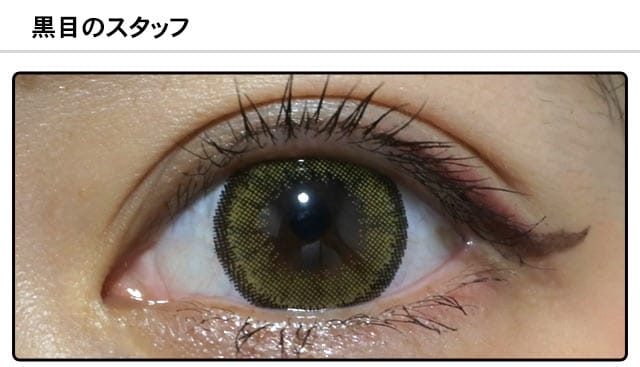スタッフ1の装着画像