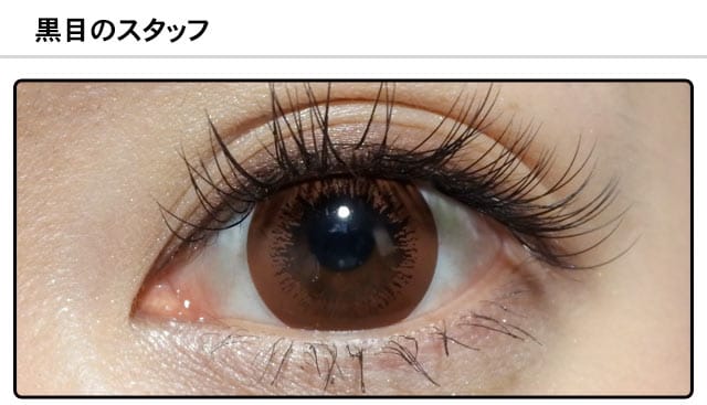 スタッフ0の装着画像