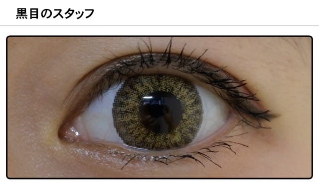 スタッフ1の装着画像