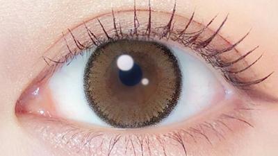 アプリコットブラウン 装用画像