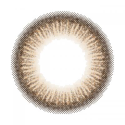 エバーカラーワンマンス アプリコットブラウン レンズ画像