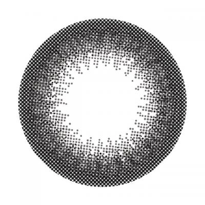 エバーカラーワンマンス ナチュラルブラック レンズ画像