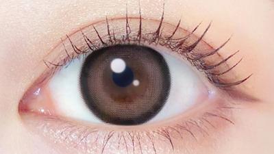 テディモカ 装用画像