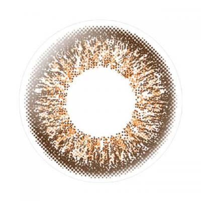 リッチナイト レンズ画像