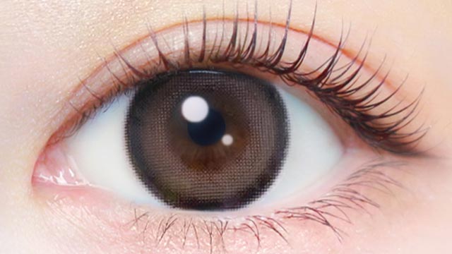 テディモカ装用画像