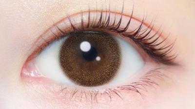 シフォンブラウン 装用画像