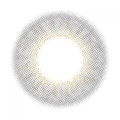 トワイライトグレー レンズ画像