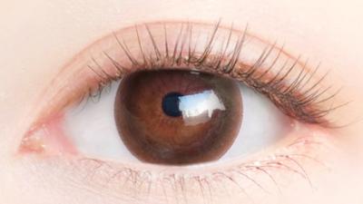 スリークブラウン 装用画像