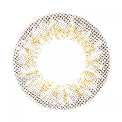 グレー レンズ画像