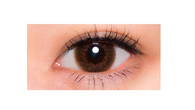 アイリスト14.2mm モカ(2)
