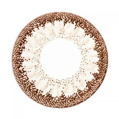 ナッツ レンズ画像