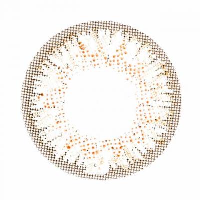 シャイン レンズ画像