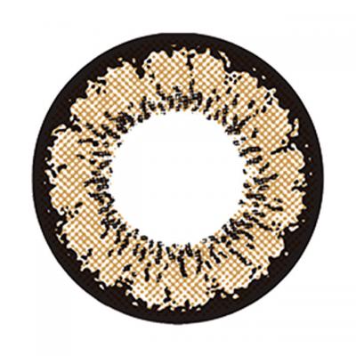 ココナッツブラウン レンズ画像