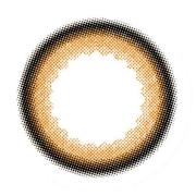 アンヴィ シャモーブラウン10枚入
