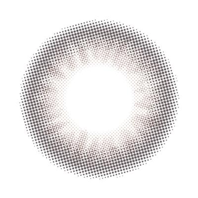 ココプードル レンズ画像