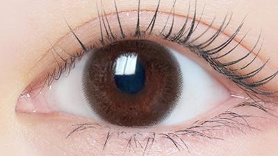 シックブラウン 装用画像