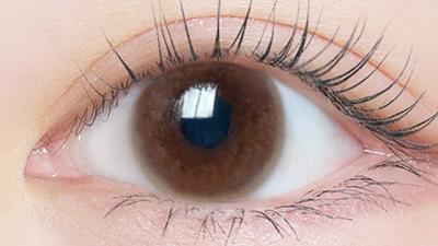 シアーブラウン 装用画像