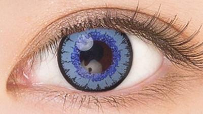 オルタンシア 装用画像