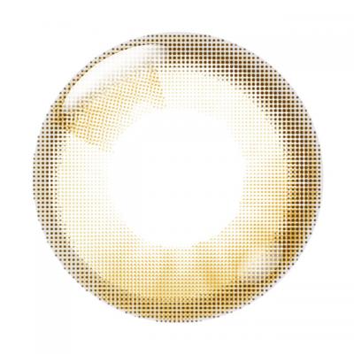 木漏れ日グリーン レンズ画像