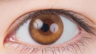 黄昏セピア 装用画像