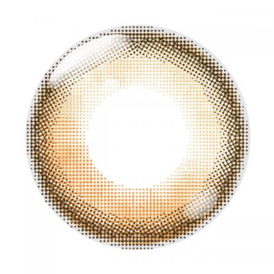 黄昏セピア レンズ画像