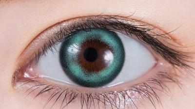 メロウマーメイド 装用画像